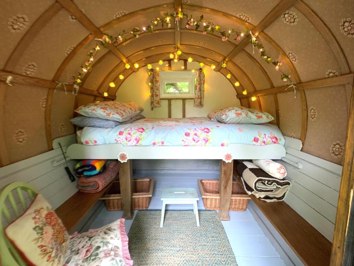 Genuine Gypsy Hut And Glamping Experience - In The Heart Of Cornwall Hotel Gunnislake Exterior photo